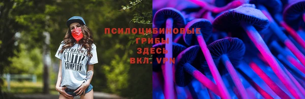 спайс Абдулино