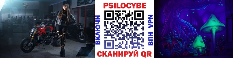 Псилоцибиновые грибы Psilocybe  Иноземцево 
